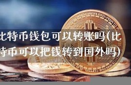 比特币钱包转到国外(比特币国外转账到国内)