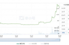 snx币最新消息最新消息今天,snx是什么意思腐？