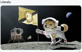 doge狗狗币是什么意思啊英文怎么写,doge是什么币种？