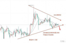 sc云储币今日行情价格走势分析,SC云储币今日行情走势分析