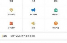 usdt泰达币下载官方最新版,如何下载泰达币USDT最新版?