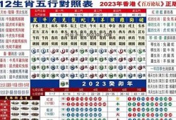 2023年澳门冷码表(2021年澳彩冷码有哪些)