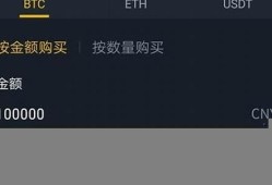 比特币钱包可以充值人民币吗(比特币可以充值steam吗)