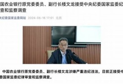 楼文龙被捕事件的法律后果与影响(楼文胜哪里人)