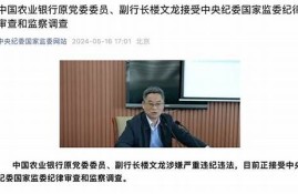 楼文龙被捕事件的法律后果与影响(楼文胜哪里人)