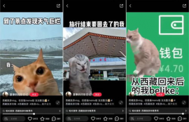 猫meme视频怎么做,大笑的猫迷因视频的制作方法