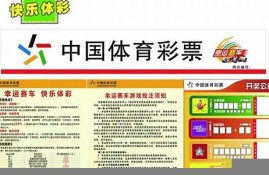 速赛车开奖记录查询平台分析与使用方法