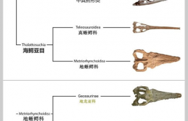 dexe币,达斯币是什么区块链币种?