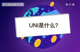 uni币属于什么概念,数学货币是什么？