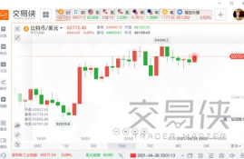 ada币和xrp币,ADA币的概要。