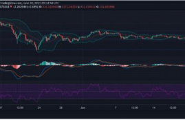 ckb币最新行情分析预测