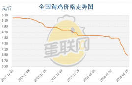 chz币未来5年价格预测分析预测,错版人民币真的存在很高的价值吗？