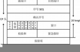 tpc是什么样的数字货币(ttc数字货币)