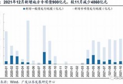 贵州地方债发行的资金管理措施(贵州地方债发行的资金管理措施包括)