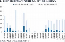 贵州地方债发行的资金管理措施(贵州地方债发行的资金管理措施包括)