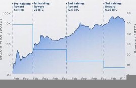 btc用什么钱包(btc钱包官方下载)