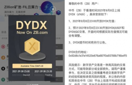 dydx币是什么币,最新80版2角纸币价格