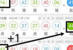 澳门中特网(神奇传说)2023(澳门中特网(神奇传说)2023下载)