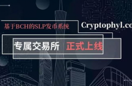 slp币在哪里交易最好,slp币为什么能上币安