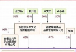 小杨哥被冻结股权背后，是否涉及股东纠纷？(小杨哥现实情况)