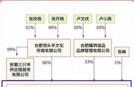 小杨哥被冻结股权背后，是否涉及股东纠纷？(小杨哥现实情况)