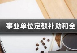 全额预算与定额补助的适用场景及优劣对比