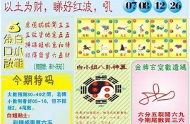 澳门123精准资料免费大全(澳门精选免费精准资料大全127)