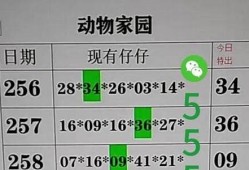 澳门精准资料49(澳门精准资料2023期)