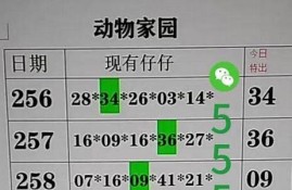 澳门精准资料49(澳门精准资料大全免费资料 什么生肖没列入仙班)