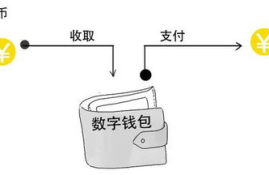 数字货币的钱包的原理,关于币圈，有哪些是需要我们了解的？