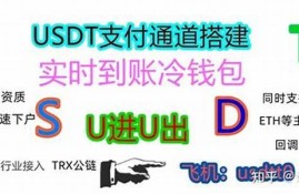 usdt怎么用数字钱包转成人民币