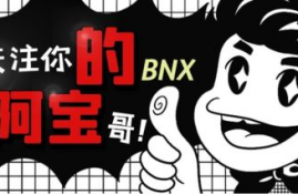 bnx是什么意思啊