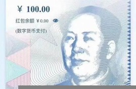 中国发行的数字货币叫什么(我国发行过数字货币吗)