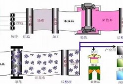 纺织品染整工艺知识点(纺织品染整加工步骤)