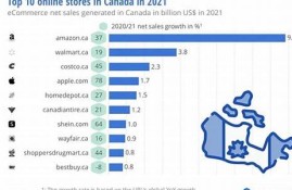 加拿大网站跨境电商的支持与机遇(加拿大电商市场概况)