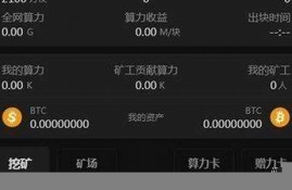 btcs钱包官方下载电脑版(btcst钱包)