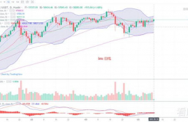 ltc币的前景怎么样2020最新消息,2020年LTC币的前景如何?