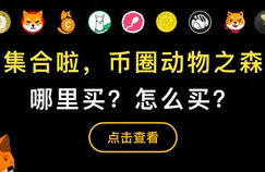 uni币的中文意思有哪些,UN的中文意思是什么？