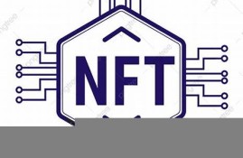 nfte数字货币tkn(数字货币nft价格)