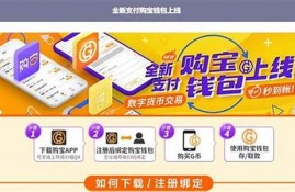 购宝钱包的usdt(购宝钱包的钱怎么提出了)