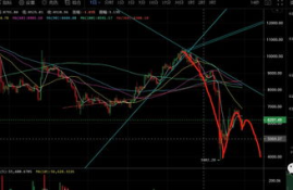 btc数字货币指数,btc什么币种