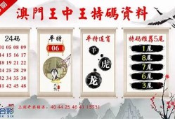 2023澳门王中王免费资料(2023澳门王中王资料大全正版资料免费)