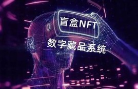 nft数字货币盲盒软件(数字货币omf)