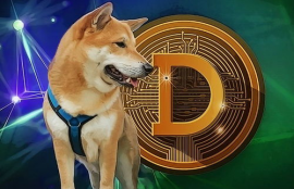 doge狗狗币价值前景,为什么要投资狗狗币