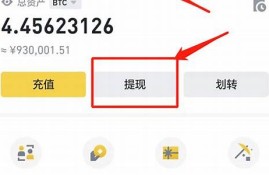 狐狸钱包添加usdt(狐狸钱包添加波场链)