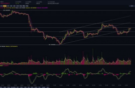 xrp币前景如何分析指标,xrp瑞波币有投资价值吗怎么判断