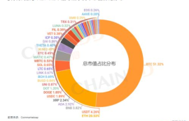 数字货币私有链onecoin,投资加密数字货币“维卡币”为什么会升值