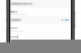 比特币钱包设置密码(比特币钱包密钥怎么获得)