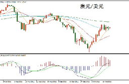 ordi币发展趋势,ordi币会涨到多少？