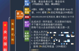 电子钱包 数字货币骗局,比特币骗局